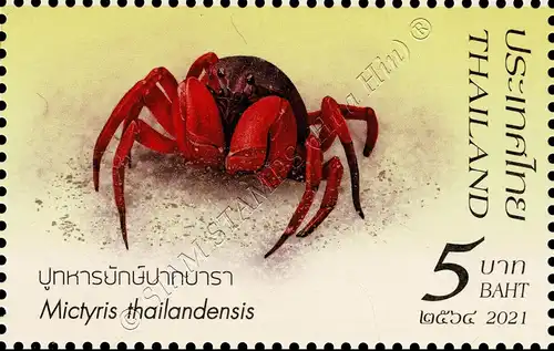 Crustaceans (III): Crabs from Southern Thailand (MNH)