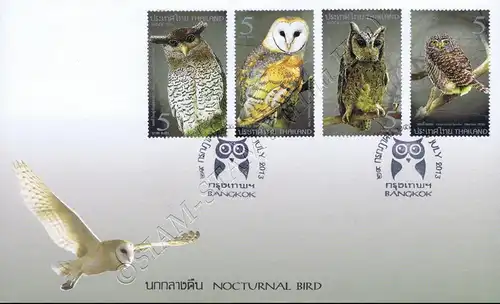 Nocturnal Bird (Owl) - The Night Hunter -FDC(I)-I-