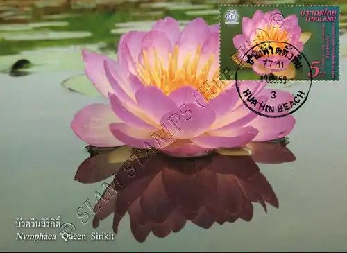 THAILAND 2016, Bangkok: Lotus flower Queen Sirikit -MAXIMUM CARD MC(IV)-
