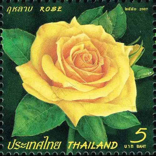 Greeting Stamp 2007: Rose (VI) (MNH)