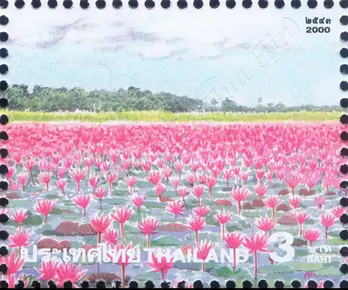 Amazing Thailand (I): Water Lily Lake, Thale Noi Bird Reserve -KB(I)- (MNH)