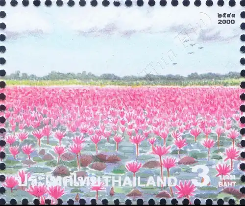 Amazing Thailand (I): Water Lily Lake, Thale Noi Bird Reserve -KB(I)- (MNH)