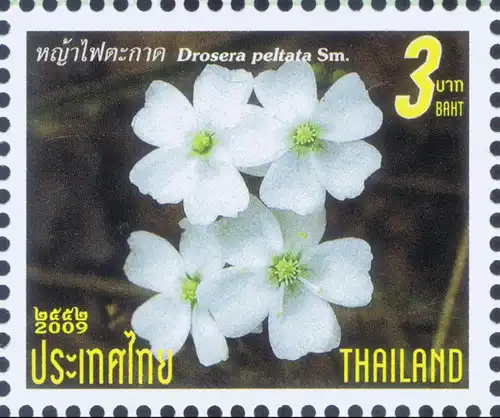 New Year 2010: Blossoms -FDC(I)-ISTU(I)-