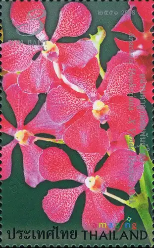 Amazing Thailand (I): Orchid (MNH)