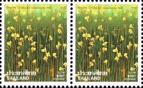 New Year 1995: Flowers (1615F) -ERROR / PAIR- (MNH)