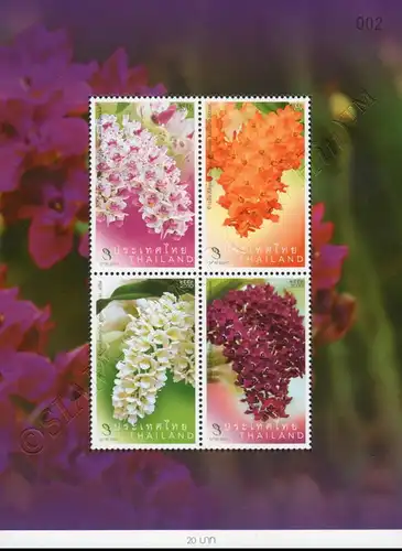 Rhynchostylis Orchid (253) (MNH)