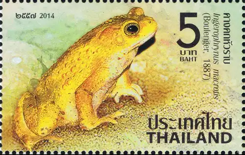 Thai Amphibians -FDC(I)-IS-