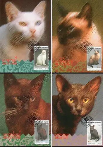 THAIPEX 95: Siamese Cats -MAXIMUM CARDS MC(59)-