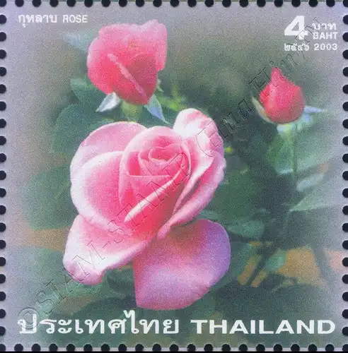 Greeting Stamp 2003: Rose (II) "Bluenile" (MNH)