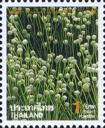 New Year 1995: Flowers (MNH)