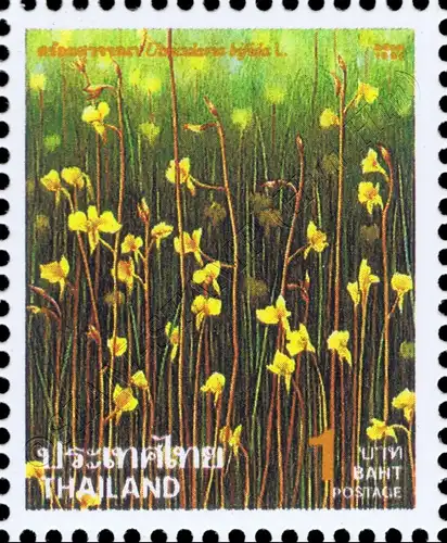 New Year 1995: Flowers (MNH)