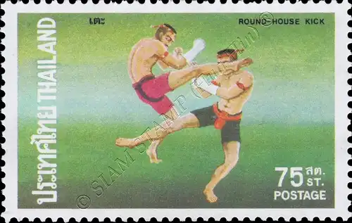 Thai boxing fighting techniques (MNH)