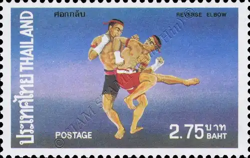 Thai boxing fighting techniques (MNH)