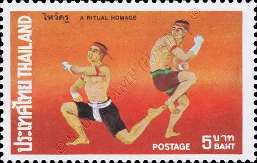 Thai boxing fighting techniques (MNH)