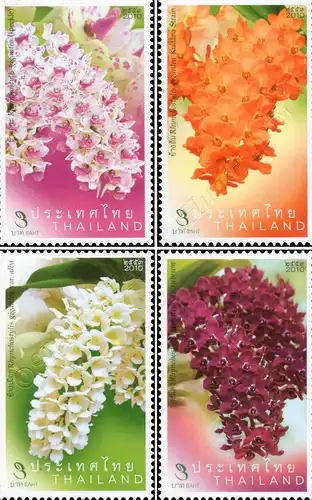 Rhynchostylis Orchid (MNH)