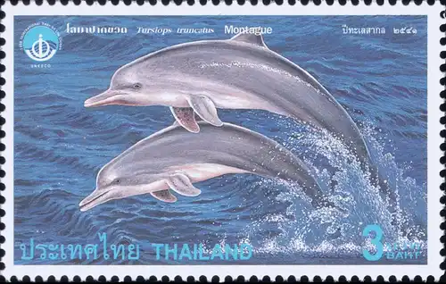 International Year of the Ocean (112) (MNH)