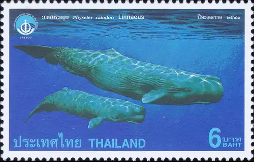 International Year of the Ocean (112) (MNH)