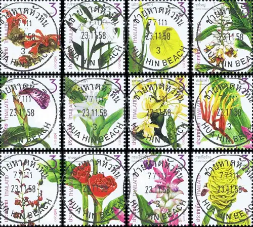 New Year 2016 (I): Family Zingiberaceae -FDC(I)-I-