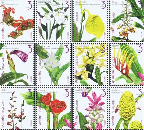 New Year 2016 (I): Family Zingiberaceae -FDC(I)-I-