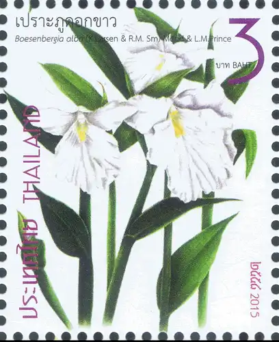 New Year 2016 (I): Family Zingiberaceae -FDC(I)-I-