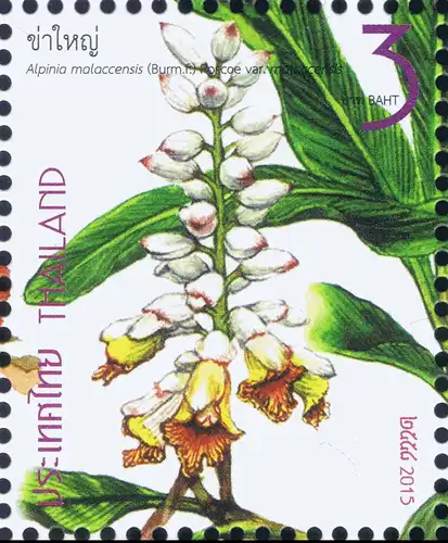 New Year 2016 (I): Family Zingiberaceae -FDC(I)-I-