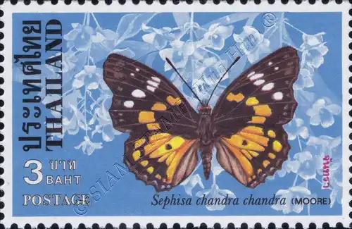 Butterflies (II) (MNH)