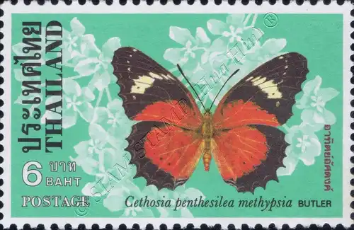 Butterflies (II) (MNH)