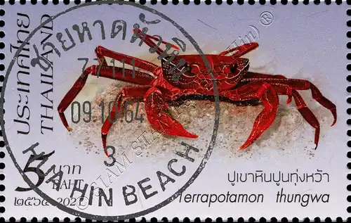 Crustaceans (III): Crabs from Southern Thailand -CANCELLED G(I)-