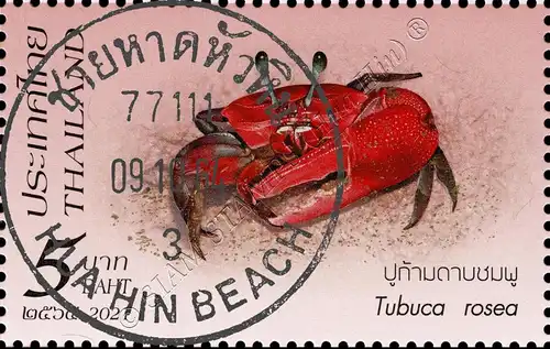 Crustaceans (III): Crabs from Southern Thailand -CANCELLED G(I)-