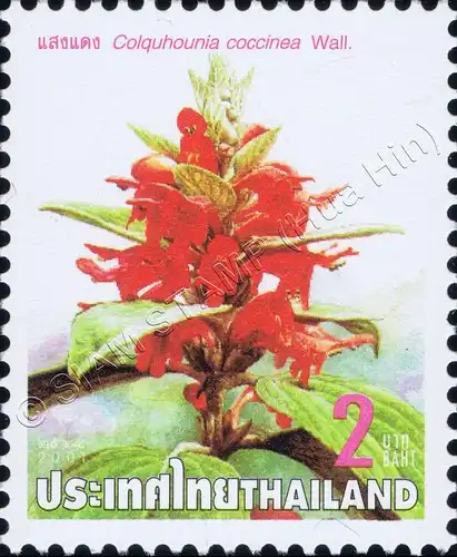 New Year: Endangered plants (MNH)