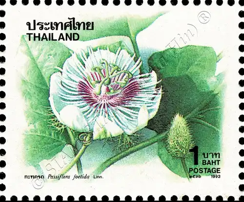 New Year: Blossoms (VI) (MNH)