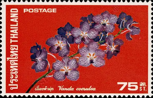 Orchid (II) (MNH)