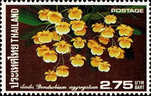 Orchid (II) (MNH)