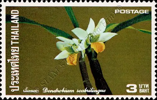 Orchid (II) (MNH)