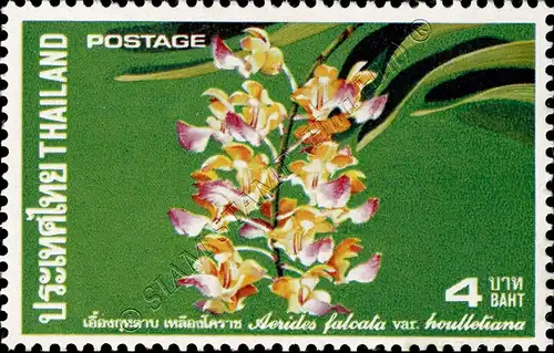 Orchid (II) (MNH)