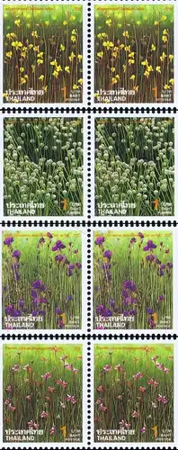 New Year 1995: Flowers -PAIR- (MNH)