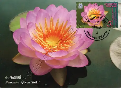 THAILAND 2016, Bangkok: Lotus flower Queen Sirikit -MAXIMUM CARD MC(II)-