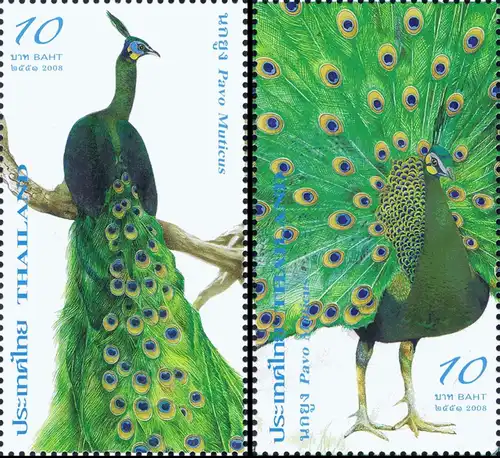 Peacock -KB(I)- (MNH)