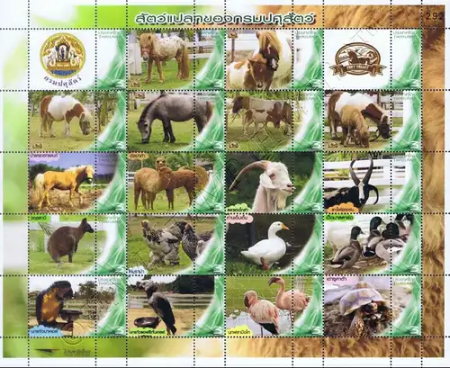 PERSONALIZED SHEET: Pony Valley Farm - Cha Am 2014 -PS(173)- (MNH)