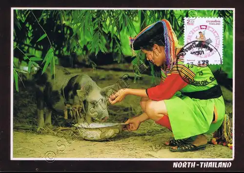 Songkran-Day 1995 "PIG" -MAXIMUM CARD MC(I)-