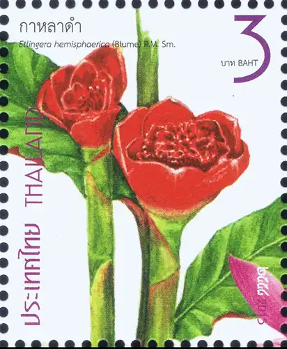 New Year 2016 (I): Family Zingiberaceae (MNH)