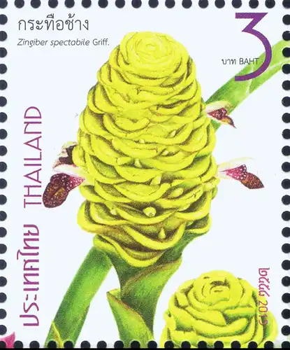 New Year 2016 (I): Family Zingiberaceae (MNH)