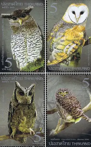 Nocturnal Bird (Owl) - The Night Hunter (MNH)