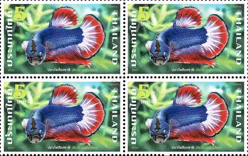 Fighting Fish (II) -BLOCK OF 4- (MNH)