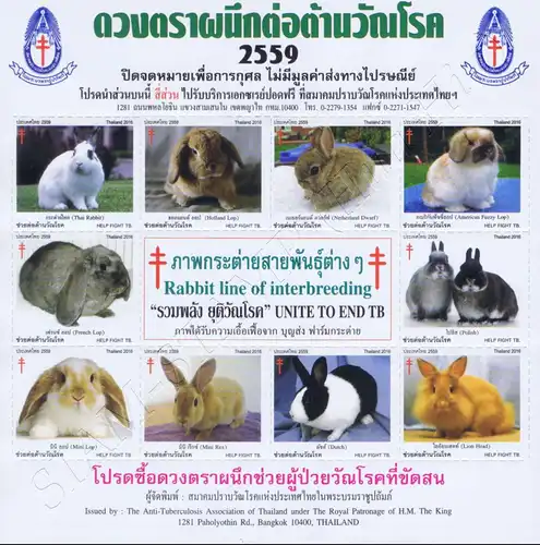 Anti-Tuberculosis Foundation 2559 (2016) -Rabbit line of Interbreeding- (MNH)