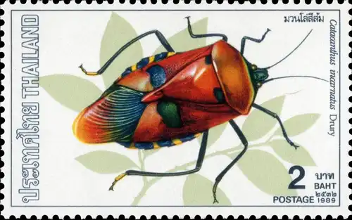 Insects (I) (MNH)