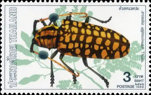 Insects (I) (MNH)