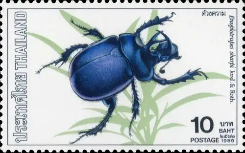 Insects (I) (MNH)