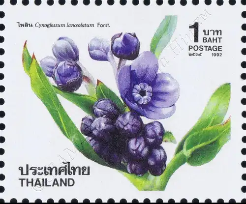 New Year 1993: Flowers (V) (MNH)