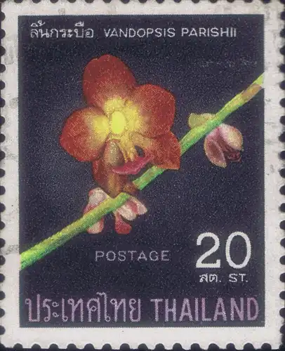Thai Orchids (I) -CANCELLED (G)-